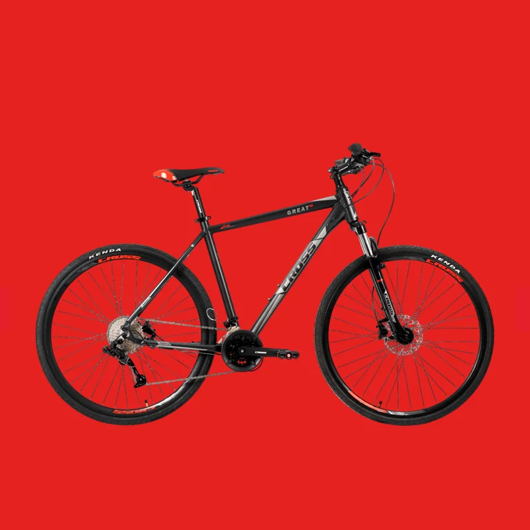 دوچرخه شهری